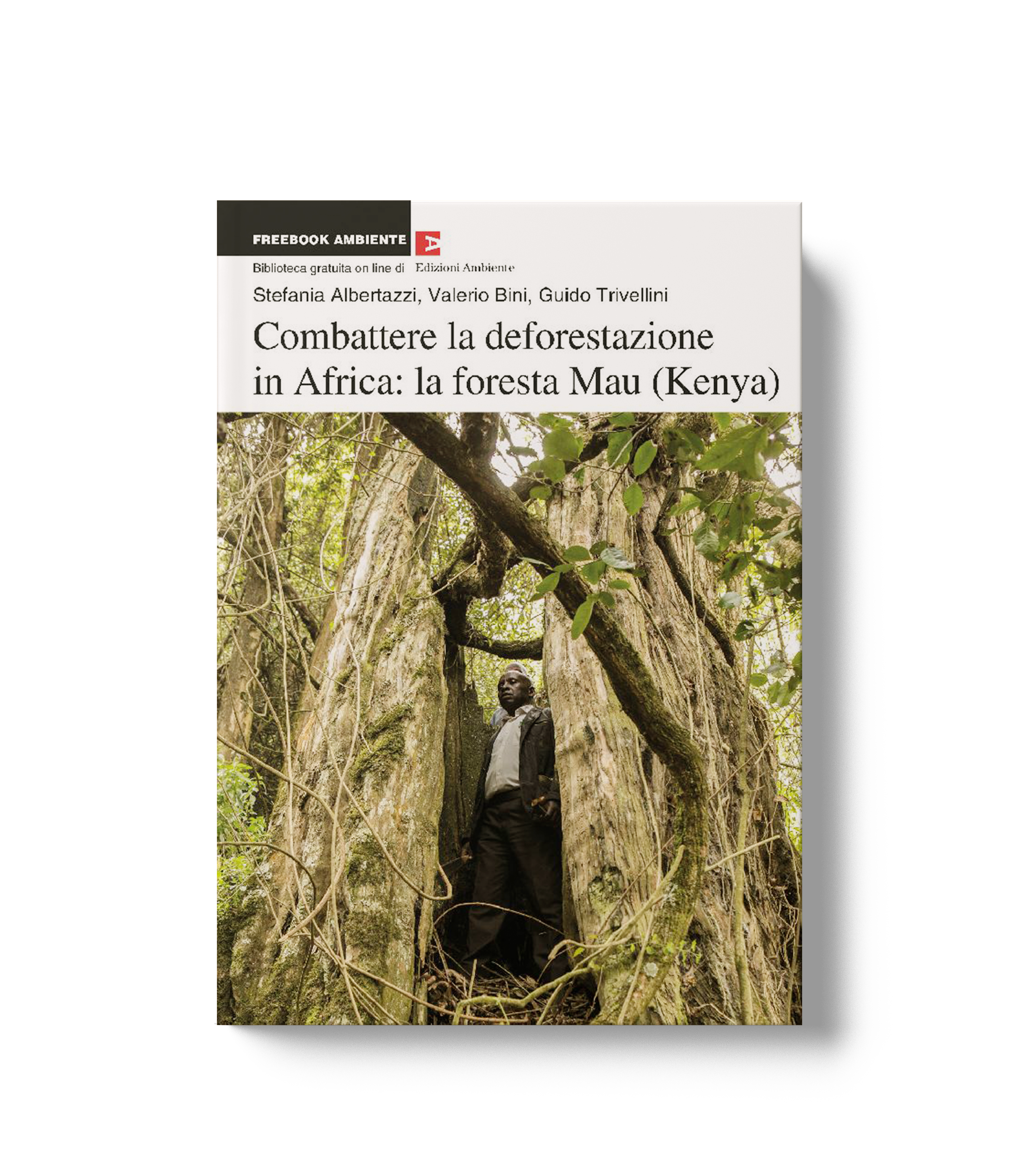 Combattere la deforestazione in Africa