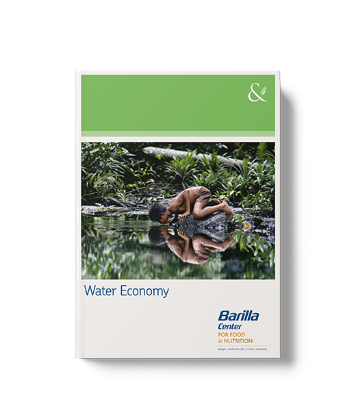Water economy