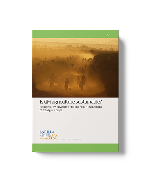 Is GM agriculture sustainable?