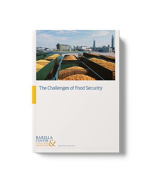 The Challanges of Food Security